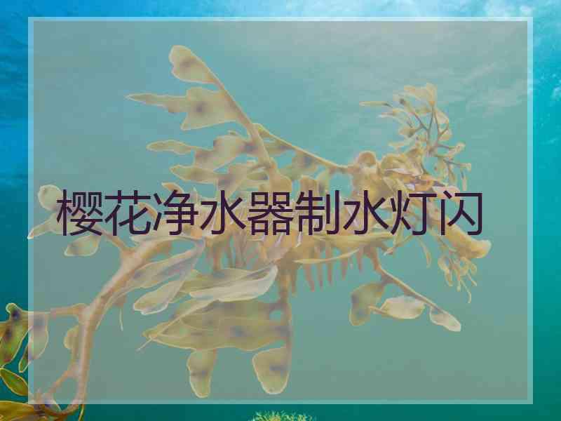 樱花净水器制水灯闪