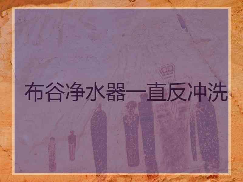 布谷净水器一直反冲洗