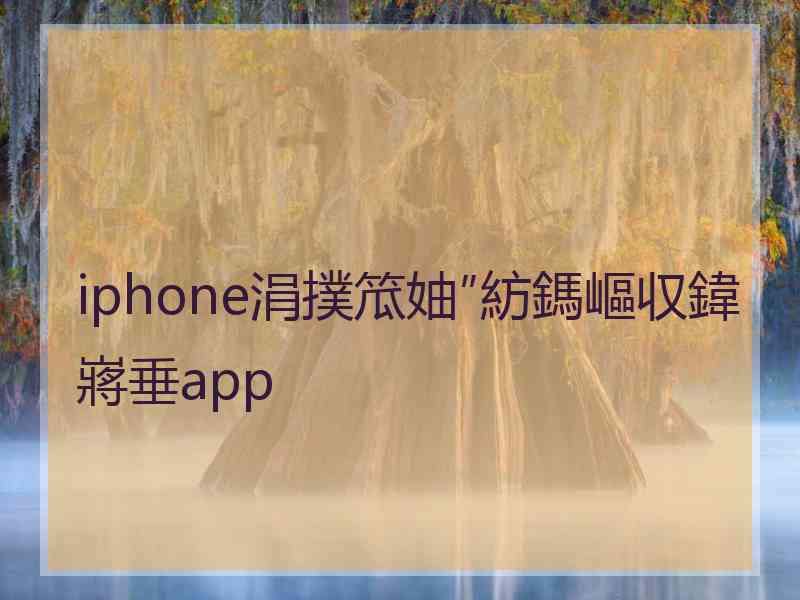 iphone涓撲笟妯″紡鎷嶇収鍏嶈垂app