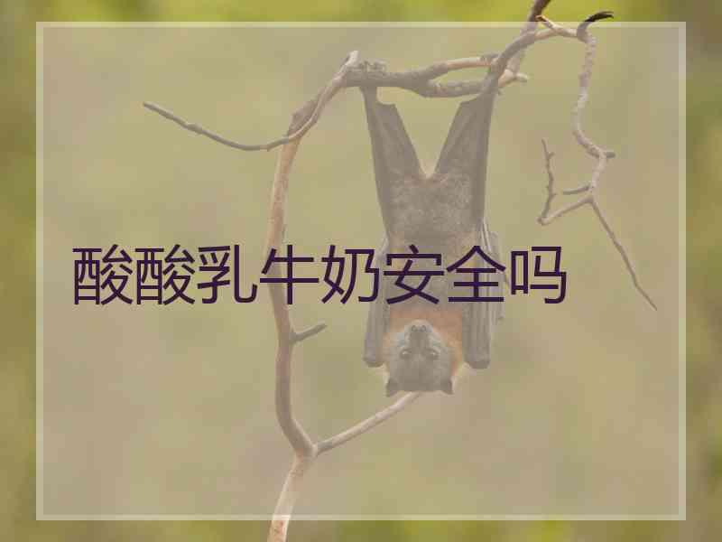 酸酸乳牛奶安全吗