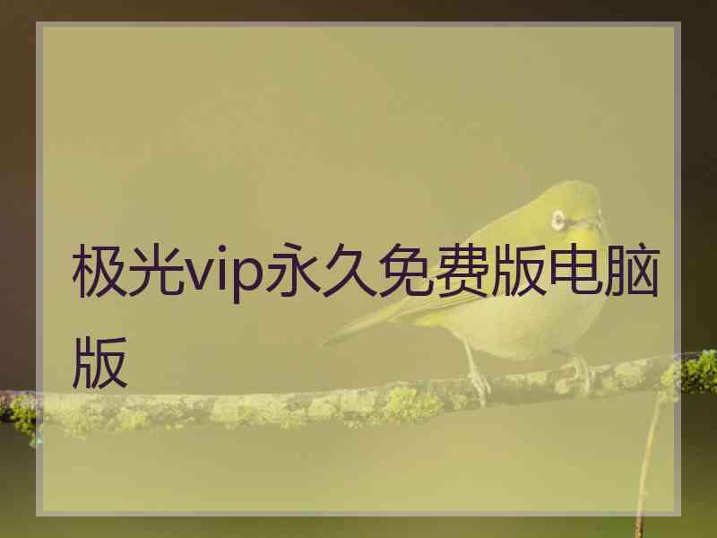 极光vip永久免费版电脑版
