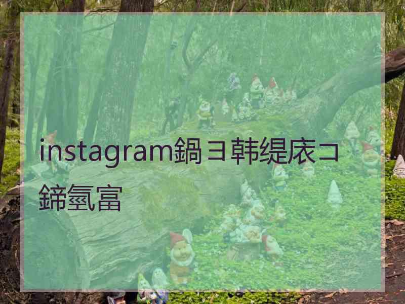 instagram鍋ヨ韩缇庡コ鍗氫富