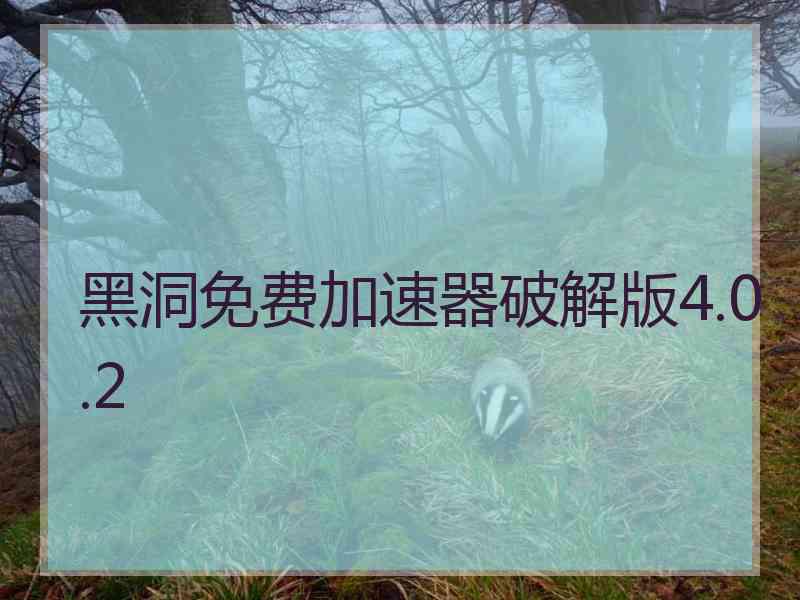 黑洞免费加速器破解版4.0.2