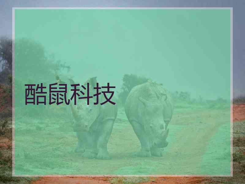 酷鼠科技