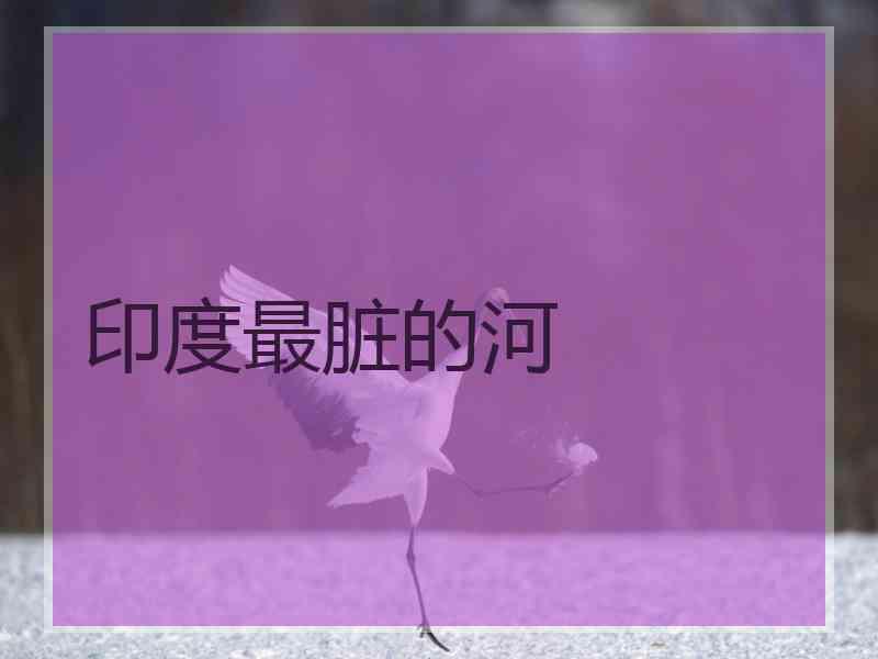 印度最脏的河