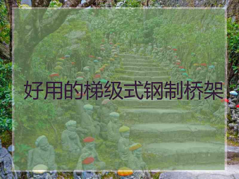 好用的梯级式钢制桥架