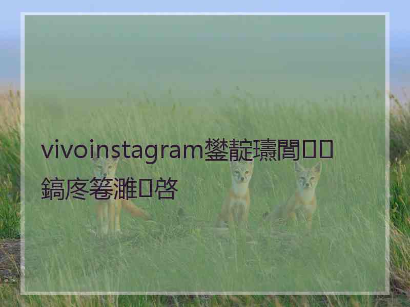 vivoinstagram鐢靛瓙閭鎬庝箞濉啓