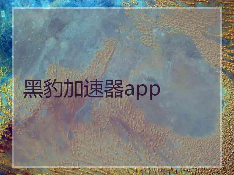 黑豹加速器app