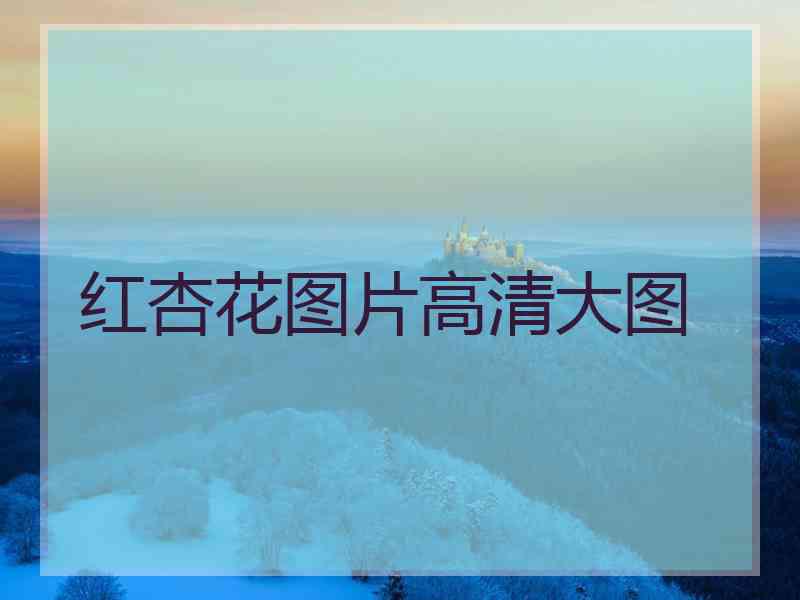 红杏花图片高清大图