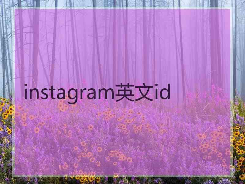 instagram英文id