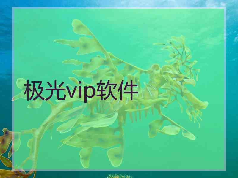 极光vip软件