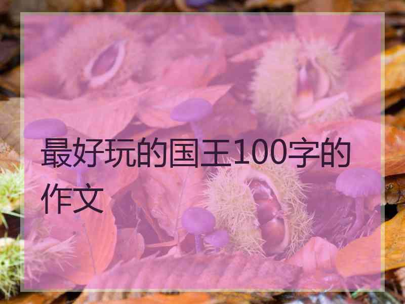 最好玩的国王100字的作文