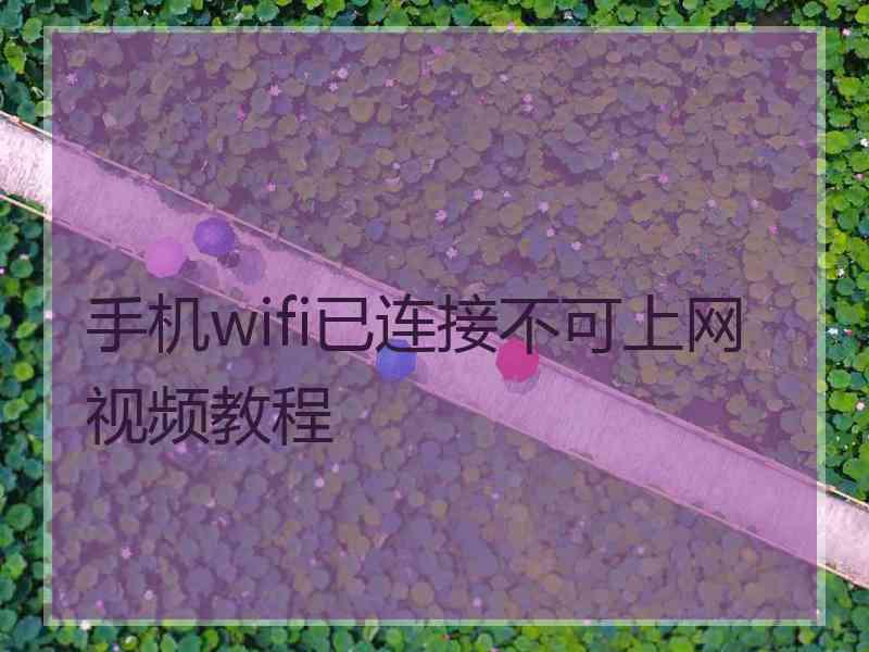 手机wifi已连接不可上网视频教程