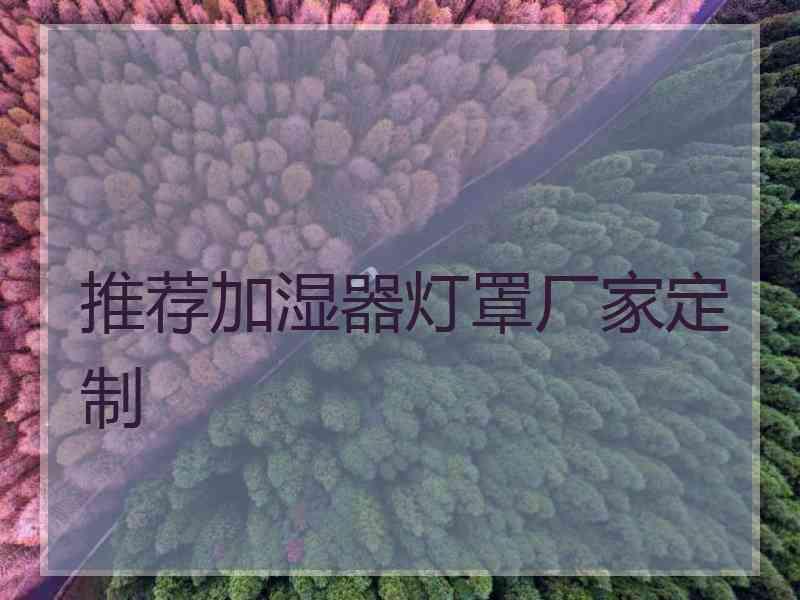 推荐加湿器灯罩厂家定制