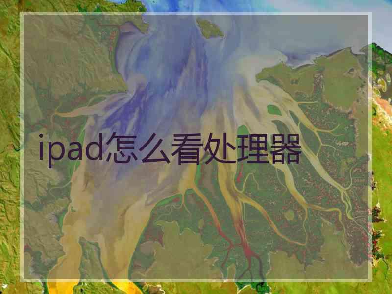 ipad怎么看处理器