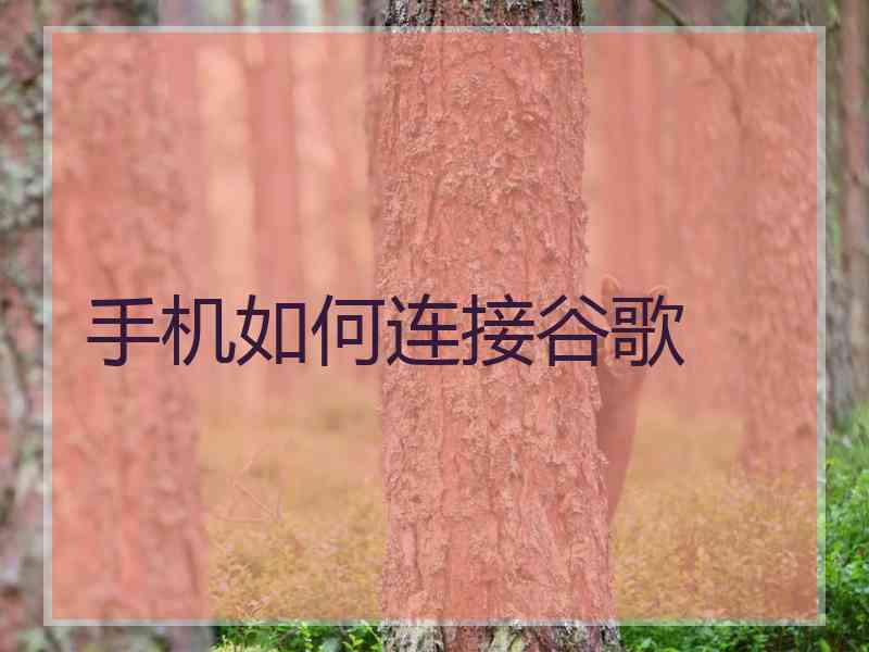 手机如何连接谷歌