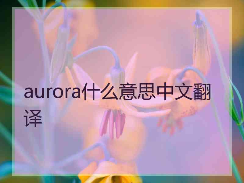 aurora什么意思中文翻译