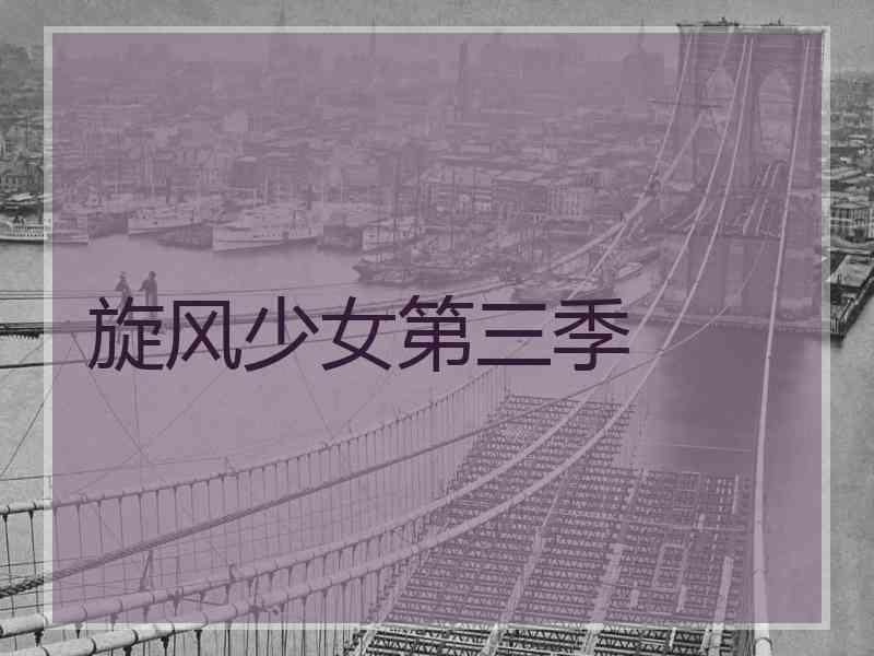 旋风少女第三季