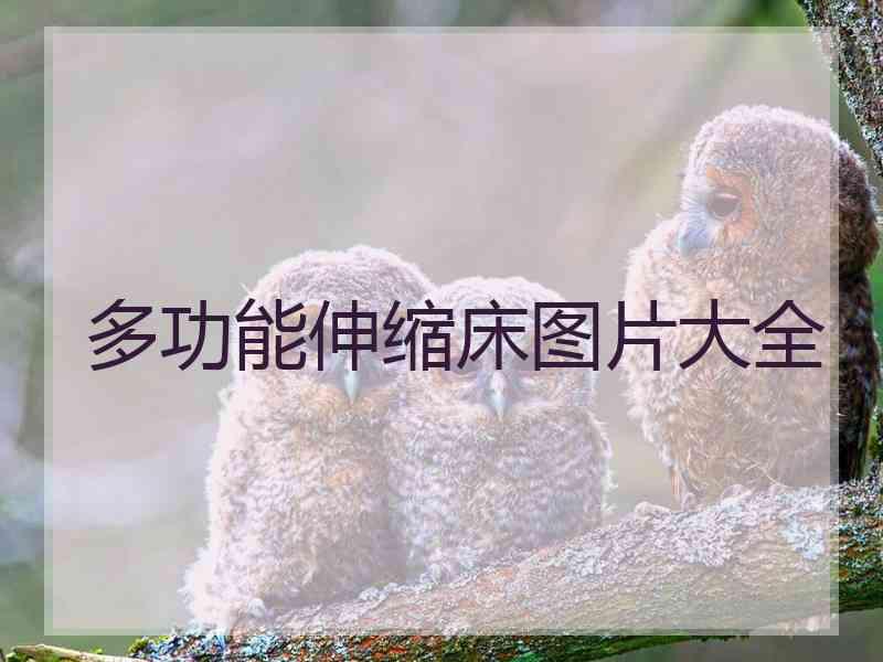 多功能伸缩床图片大全