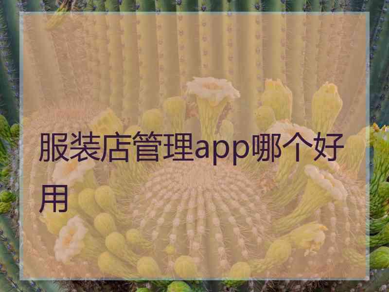 服装店管理app哪个好用