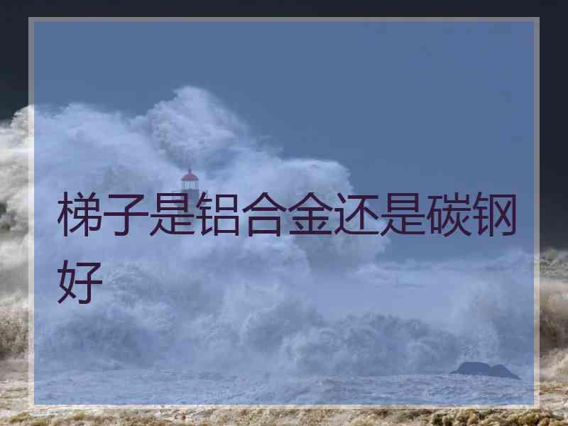 梯子是铝合金还是碳钢好