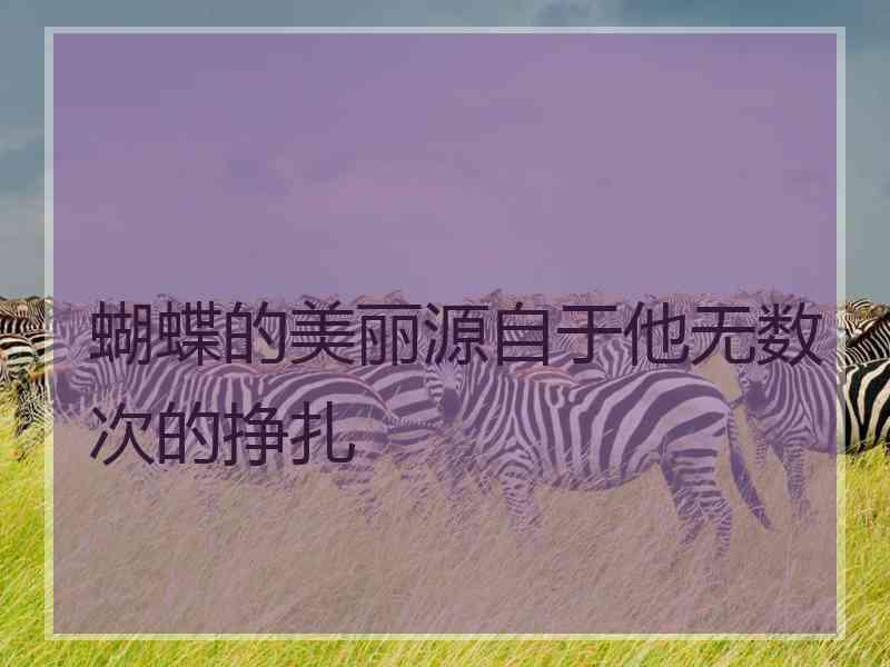 蝴蝶的美丽源自于他无数次的挣扎