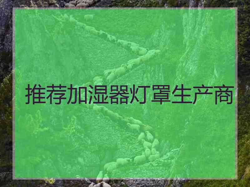 推荐加湿器灯罩生产商