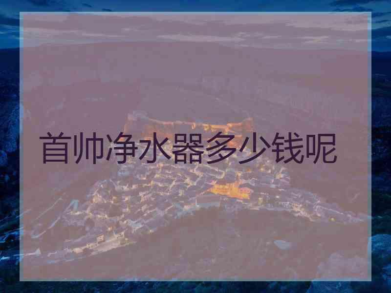 首帅净水器多少钱呢