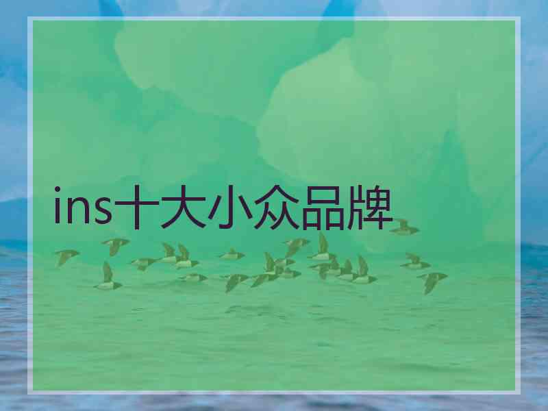 ins十大小众品牌