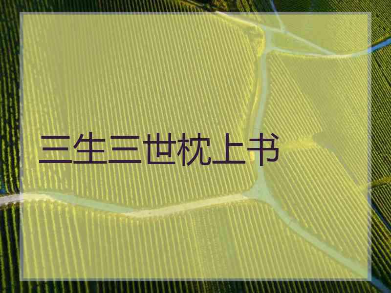 三生三世枕上书