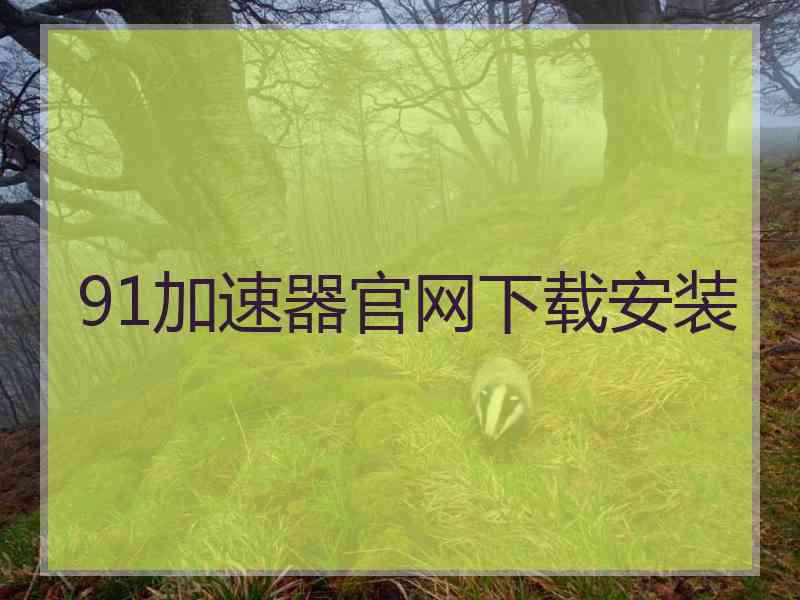 91加速器官网下载安装