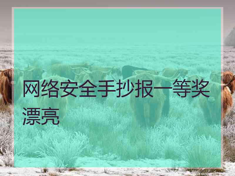 网络安全手抄报一等奖漂亮
