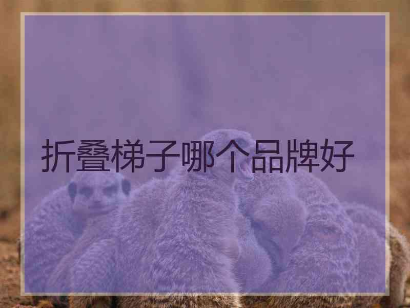 折叠梯子哪个品牌好