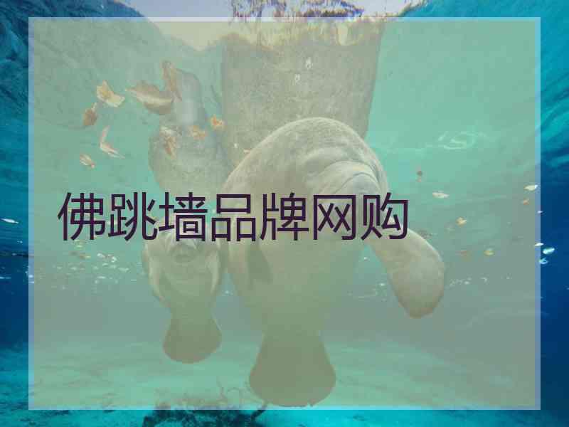 佛跳墙品牌网购