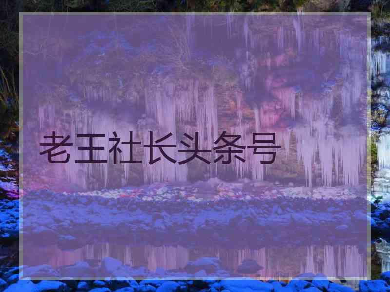 老王社长头条号