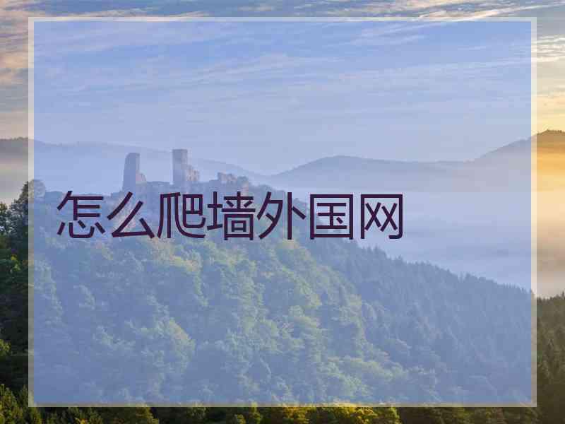 怎么爬墙外国网