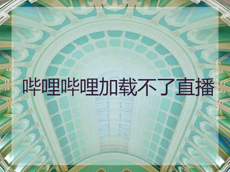 哔哩哔哩加载不了直播