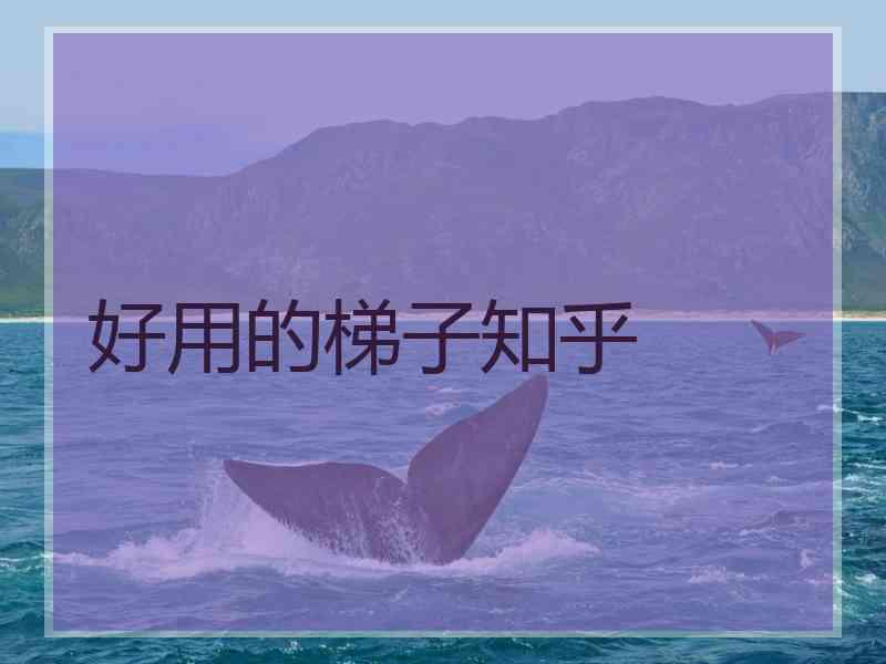 好用的梯子知乎