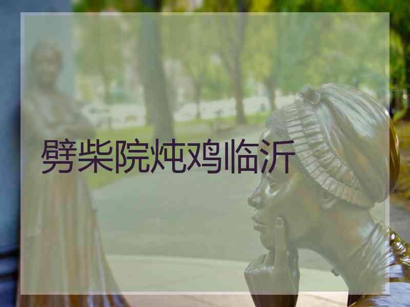 劈柴院炖鸡临沂