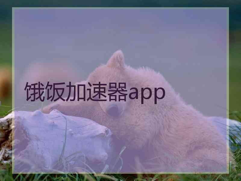 饿饭加速器app