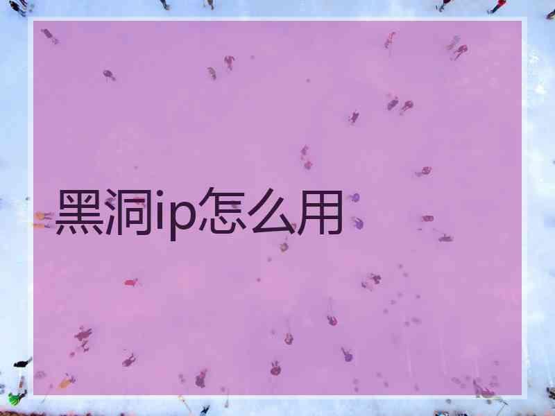 黑洞ip怎么用