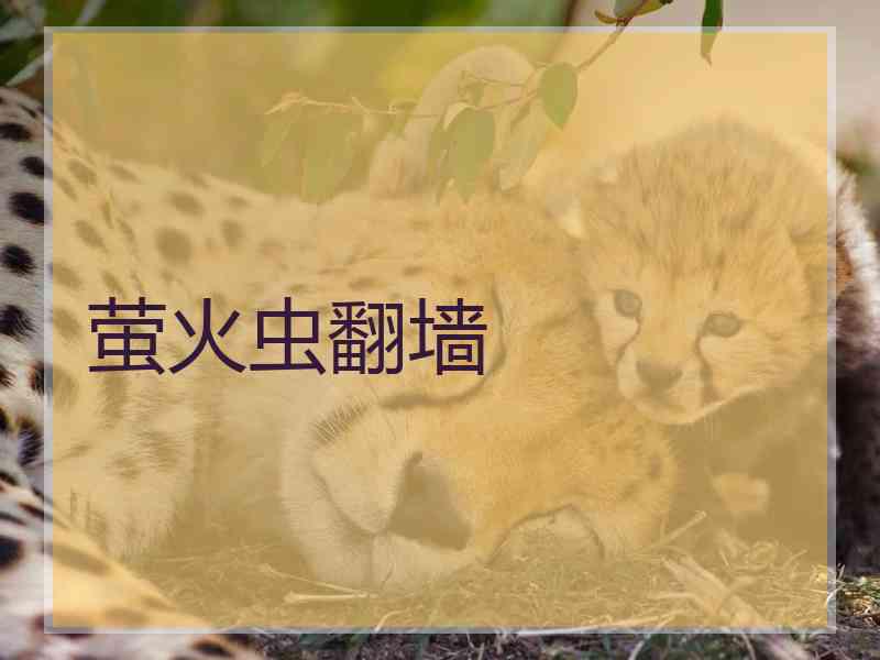 萤火虫翻墙