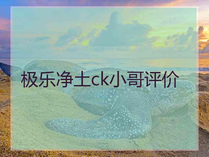 极乐净土ck小哥评价
