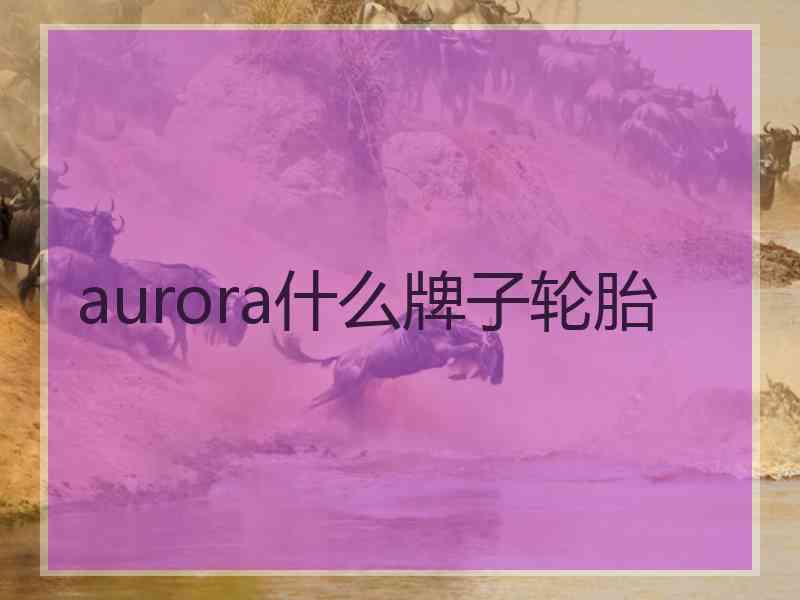 aurora什么牌子轮胎