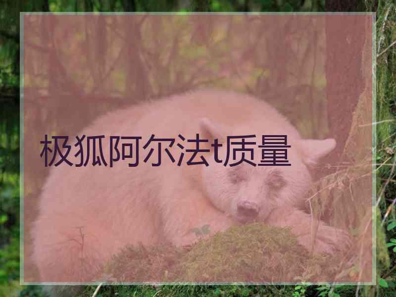 极狐阿尔法t质量