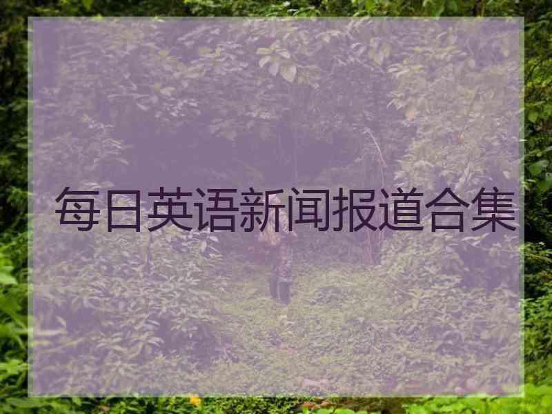 每日英语新闻报道合集