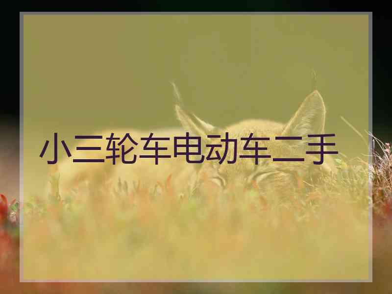 小三轮车电动车二手