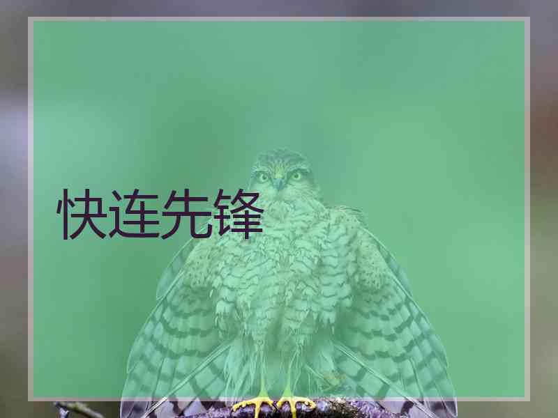 快连先锋