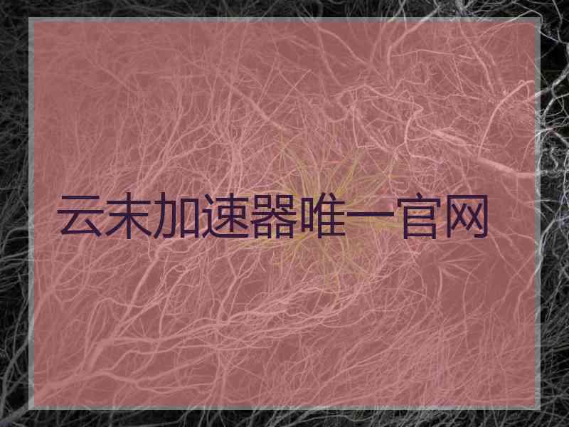 云末加速器唯一官网