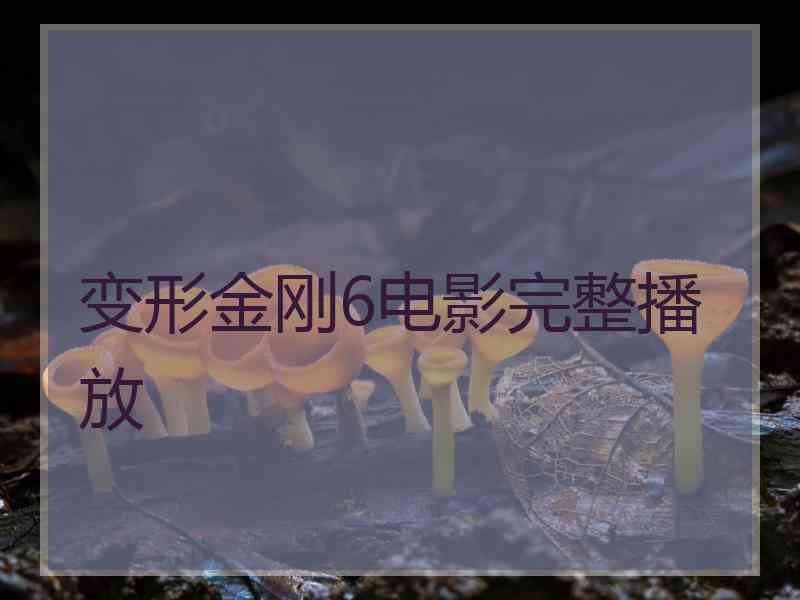 变形金刚6电影完整播放